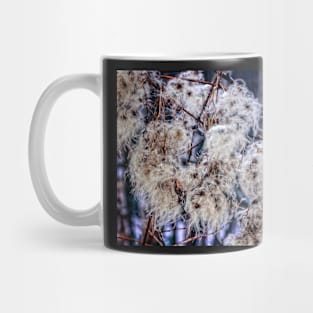 Virgin's Bower 2 Mug